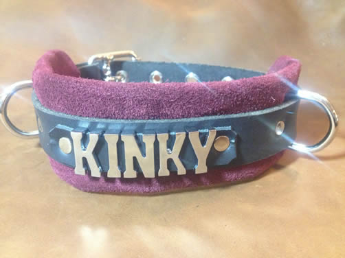 kinky collar leather